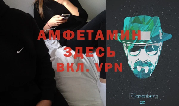 сатива Аркадак