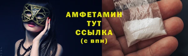 сатива Аркадак