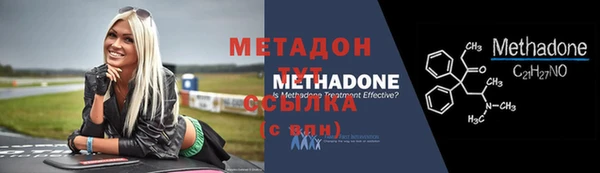 сатива Аркадак