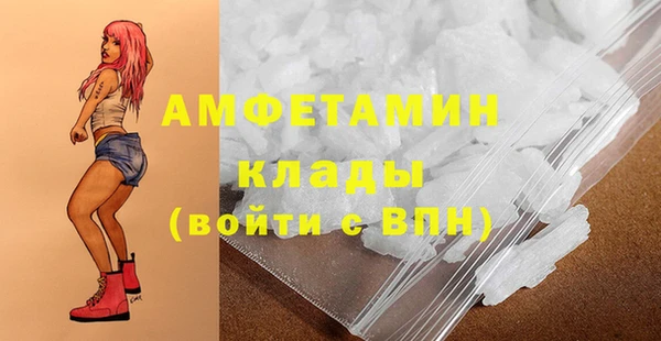 сатива Аркадак