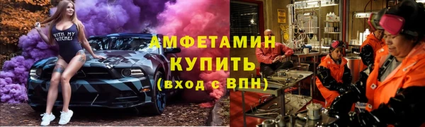 сатива Аркадак