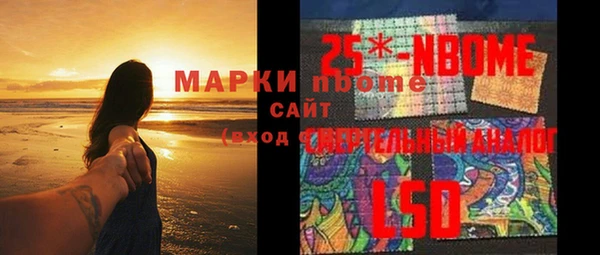 сатива Аркадак