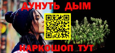 гидра Славгород