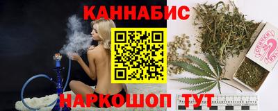 гидра Славгород