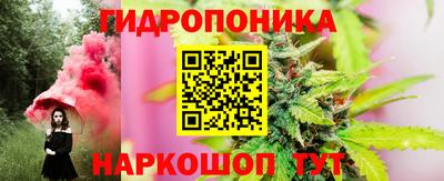 гидра Славгород