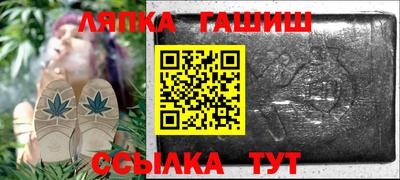 гидра Славгород