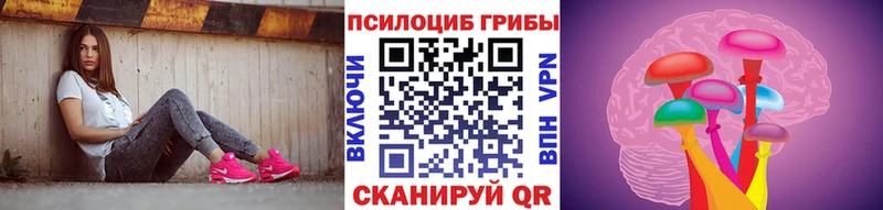 omg ССЫЛКА  Обнинск  Галлюциногенные грибы Psilocybine cubensis  где найти  